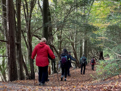 Open Surrey Three Peaks Challenge, November 2021