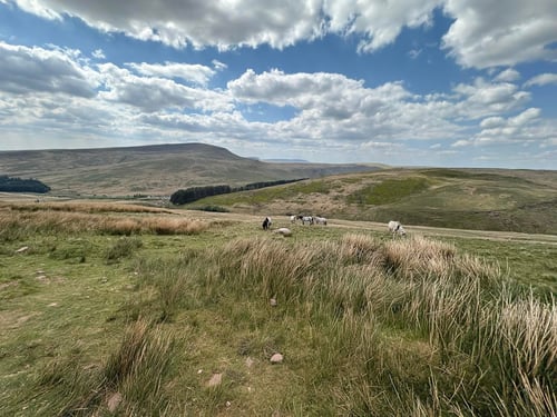 Open Welsh Three Peaks Challenge, May 2025