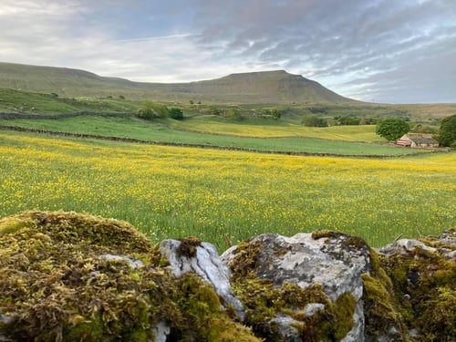 Open Yorkshire Three Peaks Challenge, June 2021
