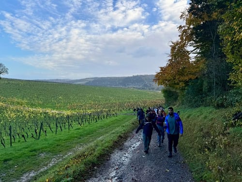 Open Surrey Three Peaks Challenge, November 2025