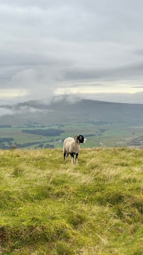 Open Yorkshire Three Peaks Challenge, August 2025
