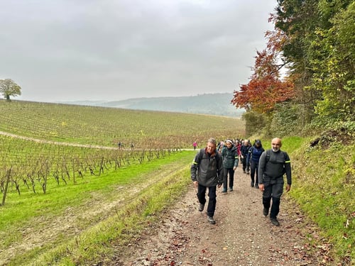 Open Surrey Three Peaks Challenge, November 2024