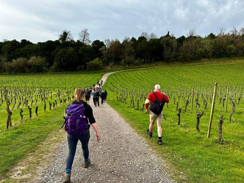 Open Surrey Three Peaks Challenge, April 2024