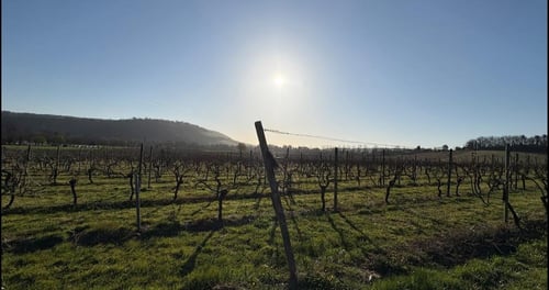 Open Surrey Three Peaks Challenge, April 2025