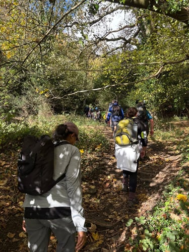 Open Surrey Three Peaks Challenge, November 2025