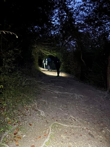 Open Surrey Three Peaks Challenge, November 2024