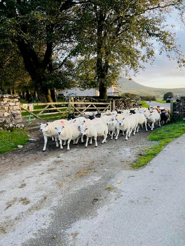 Open Yorkshire Three Peaks Challenge, October 2022