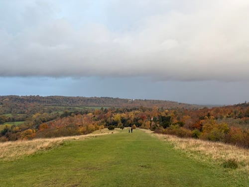 Open Surrey Three Peaks Challenge, November 2025