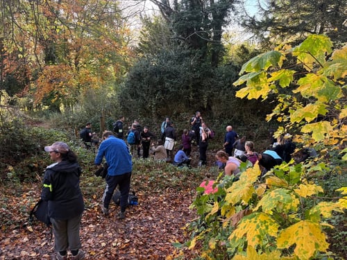 Open Surrey Three Peaks Challenge, November 2025