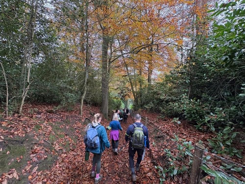 Open Surrey Three Peaks Challenge, November 2024