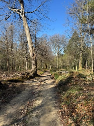 Open Surrey Three Peaks Challenge, April 2025