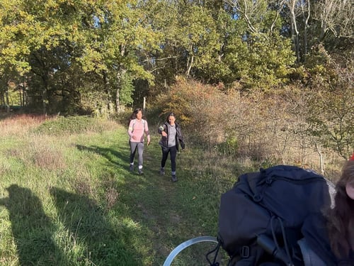 Open Surrey Three Peaks Challenge, November 2025