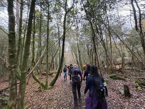 Open Surrey Three Peaks Challenge, November 2024