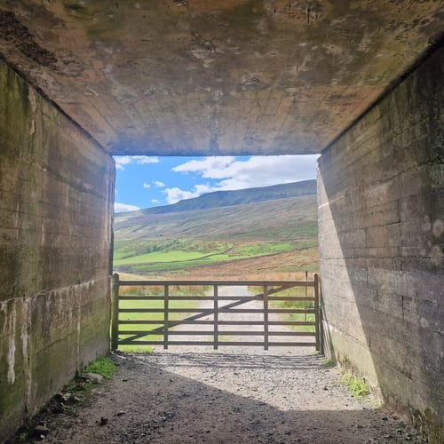 Open Yorkshire Three Peaks Challenge, May 2025