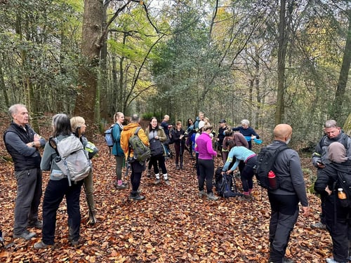 Open Surrey Three Peaks Challenge, November 2024