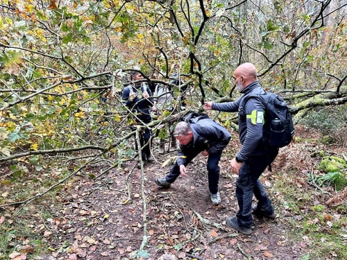 Open Surrey Three Peaks Challenge, November 2024