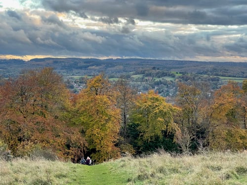 Open Surrey Three Peaks Challenge, November 2021