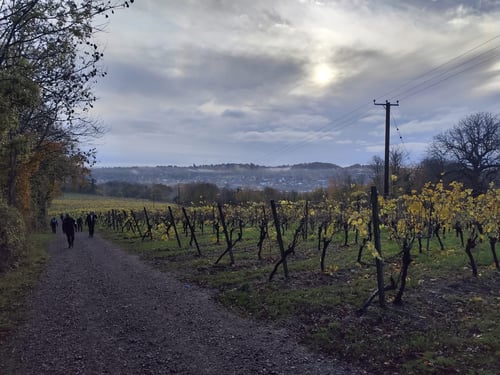 Open Surrey Three Peaks Challenge, November 2025