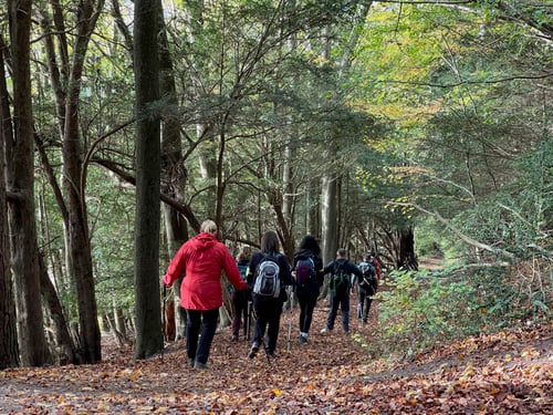 Open Surrey Three Peaks Challenge, November 2021