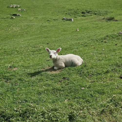 Open Yorkshire Three Peaks Challenge, May 2025