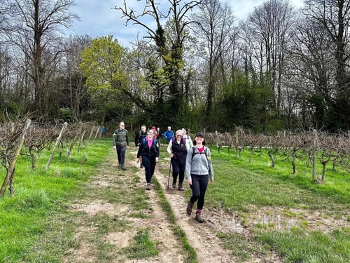 Open Surrey Three Peaks Challenge, April 2024