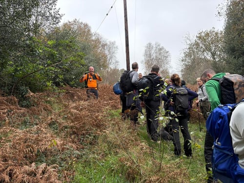 Open Surrey Three Peaks Challenge, November 2024