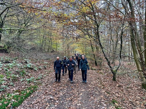 Open Surrey Three Peaks Challenge, November 2024