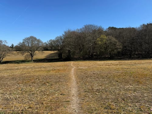 Open Surrey Three Peaks Challenge, April 2025