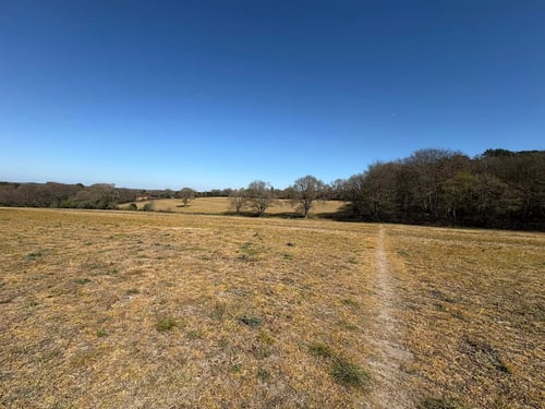 Open Surrey Three Peaks Challenge, April 2025