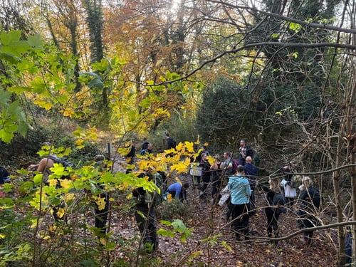 Open Surrey Three Peaks Challenge, November 2025