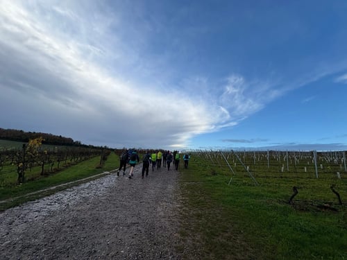 Open Surrey Three Peaks Challenge, November 2025