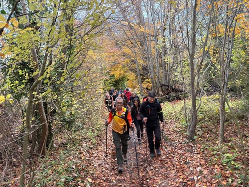 Open Surrey Three Peaks Challenge, November 2025