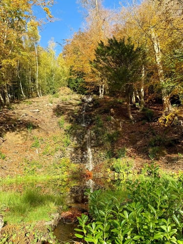 Open Surrey Three Peaks Challenge, November 2025