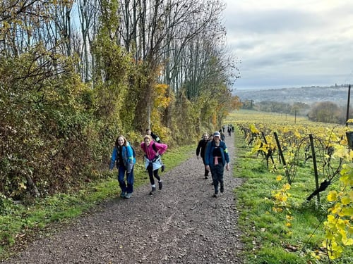 Open Surrey Three Peaks Challenge, November 2025