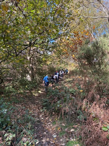 Open Surrey Three Peaks Challenge, November 2025