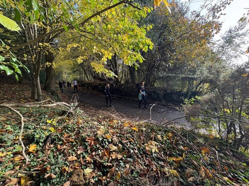 Open Surrey Three Peaks Challenge, November 2025