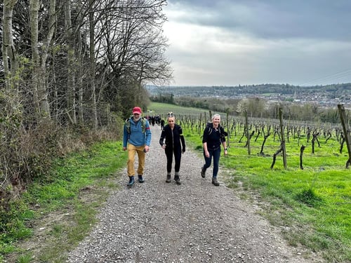 Open Surrey Three Peaks Challenge, April 2024