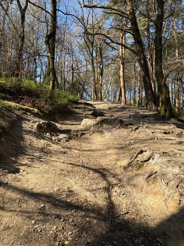 Open Surrey Three Peaks Challenge, April 2025