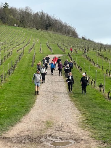 Open Surrey Three Peaks Challenge, April 2024