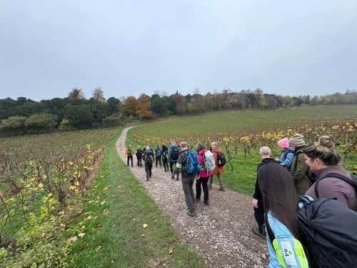 Open Surrey Three Peaks Challenge, November 2024