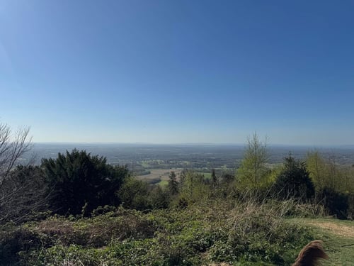 Open Surrey Three Peaks Challenge, April 2025