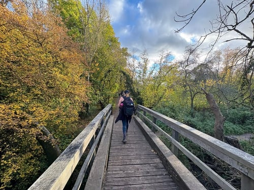 Open Surrey Three Peaks Challenge, November 2025