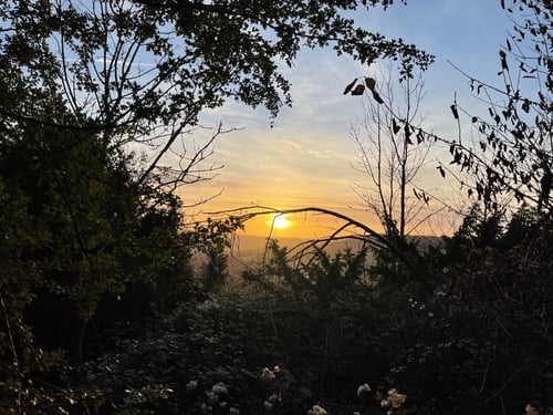 Open Surrey Three Peaks Challenge, November 2021