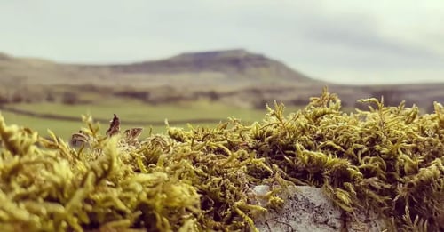 Open Yorkshire Three Peaks Challenge, April 2022