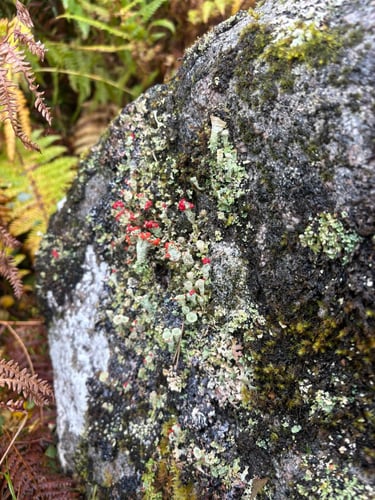 Three Peaks Challenge in Three Days, October 2025