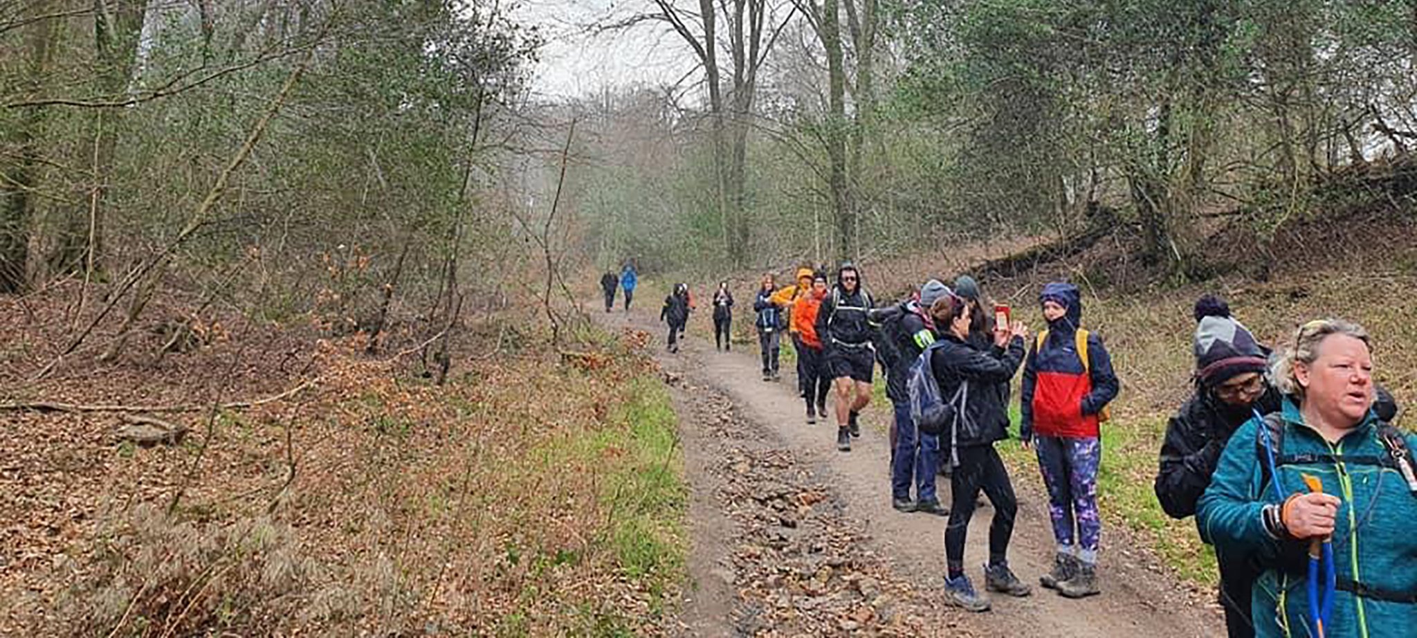 Walking through woodland on the Surrey Three Peaks Challenge