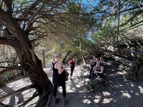Thumbnail: Surrey Three Peaks Challenge, April 2025