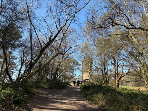 Thumbnail: Surrey Three Peaks Challenge, April 2025