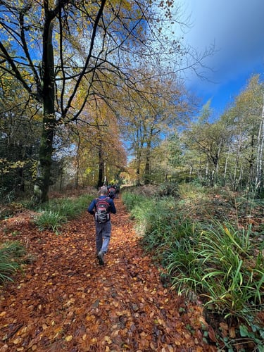 Thumbnail: Surrey Three Peaks Challenge, November 2025