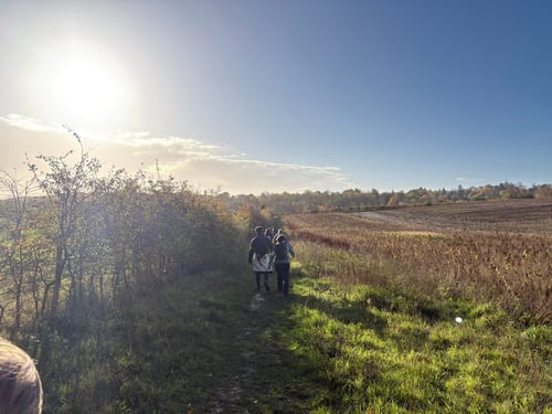Thumbnail: Surrey Three Peaks Challenge, November 2025